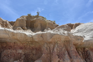 Filename=DSC_6028.JPG
Filesize=21215KiB
Dimensions=7360x4912
Date added=Sep 19, 2019 DSC_6028.JPG