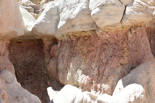 Filename=DSC_6029.JPG
Filesize=21406KiB
Dimensions=7360x4912
Date added=Sep 19, 2019 DSC_6029.JPG