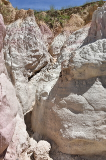 Filename=DSC_6038.JPG
Filesize=22716KiB
Dimensions=4912x7360
Date added=Sep 19, 2019 DSC_6038.JPG