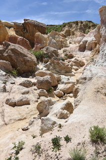 Filename=DSC_6040.JPG
Filesize=21987KiB
Dimensions=4912x7360
Date added=Sep 19, 2019 DSC_6040.JPG