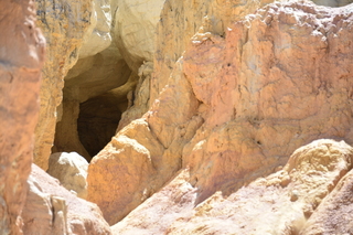 Filename=DSC_6045.JPG
Filesize=17116KiB
Dimensions=7360x4912
Date added=Sep 19, 2019 DSC_6045.JPG