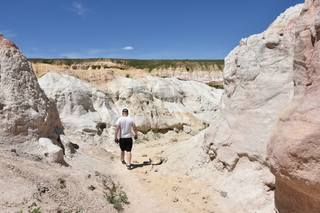 Filename=DSC_6049.JPG
Filesize=24722KiB
Dimensions=7360x4912
Date added=Sep 19, 2019 DSC_6049.JPG