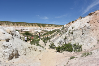 Filename=DSC_6051.JPG
Filesize=23200KiB
Dimensions=7360x4912
Date added=Sep 19, 2019 DSC_6051.JPG