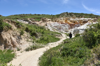 Filename=DSC_6055.JPG
Filesize=26332KiB
Dimensions=7360x4912
Date added=Sep 19, 2019 DSC_6055.JPG