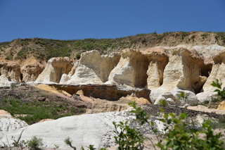 Filename=DSC_6058.JPG
Filesize=21749KiB
Dimensions=7360x4912
Date added=Sep 19, 2019 DSC_6058.JPG