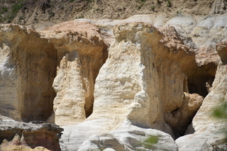 Filename=DSC_6059.JPG
Filesize=21176KiB
Dimensions=7360x4912
Date added=Sep 19, 2019 DSC_6059.JPG