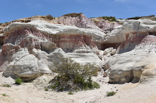 Filename=DSC_6062.JPG
Filesize=24208KiB
Dimensions=7360x4912
Date added=Sep 19, 2019 DSC_6062.JPG