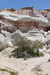 Filename=DSC_6066.JPG
Filesize=21622KiB
Dimensions=4912x7360
Date added=Sep 19, 2019 DSC_6066.JPG