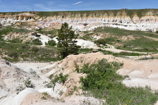 Filename=DSC_6081.JPG
Filesize=27145KiB
Dimensions=7360x4912
Date added=Sep 19, 2019 DSC_6081.JPG