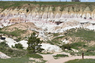 Filename=DSC_6097.JPG
Filesize=27634KiB
Dimensions=7360x4912
Date added=Sep 19, 2019 DSC_6097.JPG