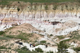 Filename=DSC_6110.JPG
Filesize=25802KiB
Dimensions=7360x4912
Date added=Sep 19, 2019 DSC_6110.JPG