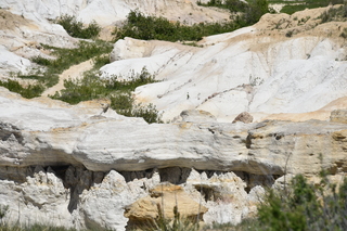 Filename=DSC_6115.JPG
Filesize=23150KiB
Dimensions=7360x4912
Date added=Sep 19, 2019 DSC_6115.JPG