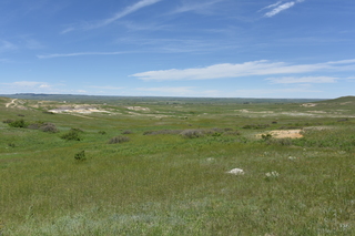 Filename=DSC_6130.JPG
Filesize=22028KiB
Dimensions=7360x4912
Date added=Sep 19, 2019 DSC_6130.JPG