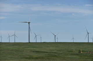 Filename=DSC_6133.JPG
Filesize=15473KiB
Dimensions=7360x4912
Date added=Sep 19, 2019 DSC_6133.JPG