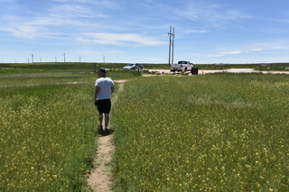 Filename=DSC_6137.JPG
Filesize=23230KiB
Dimensions=7360x4912
Date added=Sep 19, 2019 DSC_6137.JPG