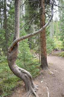 Filename=DSC_6147.JPG
Filesize=21684KiB
Dimensions=4912x7360
Date added=Sep 19, 2019 DSC_6147.JPG