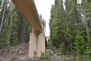 Filename=DSC_6150.JPG
Filesize=23278KiB
Dimensions=7360x4912
Date added=Sep 19, 2019 DSC_6150.JPG