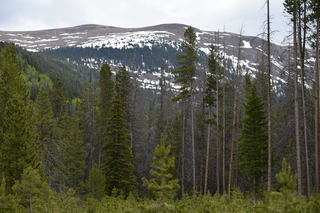 Filename=DSC_6152.JPG
Filesize=21928KiB
Dimensions=7360x4912
Date added=Sep 19, 2019 DSC_6152.JPG