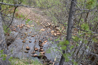 Filename=DSC_6156.JPG
Filesize=25587KiB
Dimensions=7360x4912
Date added=Sep 19, 2019 DSC_6156.JPG