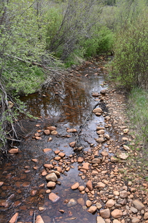 Filename=DSC_6157.JPG
Filesize=24572KiB
Dimensions=4912x7360
Date added=Sep 19, 2019 DSC_6157.JPG