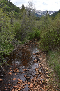 Filename=DSC_6158.JPG
Filesize=23885KiB
Dimensions=4912x7360
Date added=Sep 19, 2019 DSC_6158.JPG