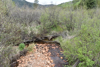 Filename=DSC_6160.JPG
Filesize=29570KiB
Dimensions=7360x4912
Date added=Sep 19, 2019 DSC_6160.JPG