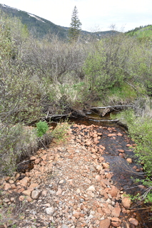 Filename=DSC_6161.JPG
Filesize=22599KiB
Dimensions=4912x7360
Date added=Sep 19, 2019 DSC_6161.JPG