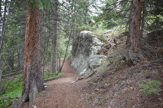 Filename=DSC_6164.JPG
Filesize=24321KiB
Dimensions=7360x4912
Date added=Sep 19, 2019 DSC_6164.JPG