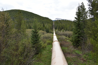 Filename=DSC_6168.JPG
Filesize=22638KiB
Dimensions=7360x4912
Date added=Sep 19, 2019 DSC_6168.JPG