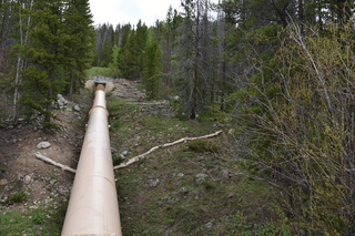 Filename=DSC_6170.JPG
Filesize=25413KiB
Dimensions=7360x4912
Date added=Sep 19, 2019 DSC_6170.JPG