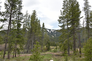 Filename=DSC_6173.JPG
Filesize=23762KiB
Dimensions=7360x4912
Date added=Sep 19, 2019 DSC_6173.JPG