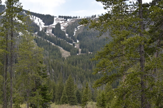 Filename=DSC_6174.JPG
Filesize=23224KiB
Dimensions=7360x4912
Date added=Sep 19, 2019 DSC_6174.JPG