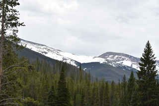 Filename=DSC_6177.JPG
Filesize=18719KiB
Dimensions=7360x4912
Date added=Sep 19, 2019 DSC_6177.JPG