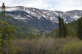 Filename=DSC_6182.JPG
Filesize=21959KiB
Dimensions=7360x4912
Date added=Sep 19, 2019 DSC_6182.JPG