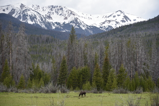 Filename=DSC_6189.JPG
Filesize=20631KiB
Dimensions=7360x4912
Date added=Sep 19, 2019 DSC_6189.JPG