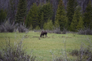 Filename=DSC_6190.JPG
Filesize=19361KiB
Dimensions=7360x4912
Date added=Sep 19, 2019 DSC_6190.JPG