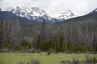 Filename=DSC_6191.JPG
Filesize=21228KiB
Dimensions=7360x4912
Date added=Sep 19, 2019 DSC_6191.JPG