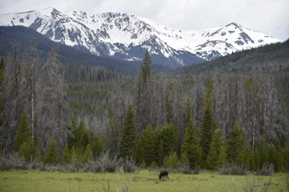 Filename=DSC_6192.JPG
Filesize=20616KiB
Dimensions=7360x4912
Date added=Sep 19, 2019 DSC_6192.JPG