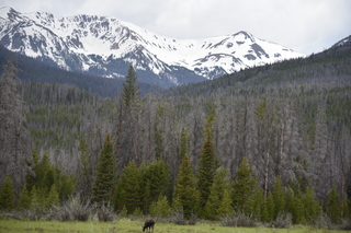 Filename=DSC_6193.JPG
Filesize=20390KiB
Dimensions=7360x4912
Date added=Sep 19, 2019 DSC_6193.JPG