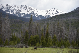 Filename=DSC_6194.JPG
Filesize=20100KiB
Dimensions=7360x4912
Date added=Sep 19, 2019 DSC_6194.JPG