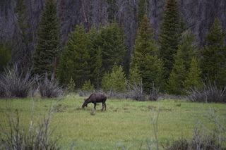 Filename=DSC_6198.JPG
Filesize=19690KiB
Dimensions=7360x4912
Date added=Sep 19, 2019 DSC_6198.JPG