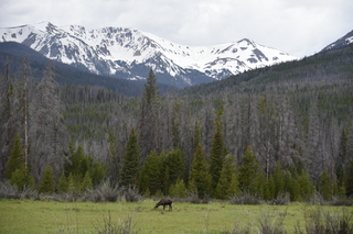 Filename=DSC_6200.JPG
Filesize=20594KiB
Dimensions=7360x4912
Date added=Sep 19, 2019 DSC_6200.JPG