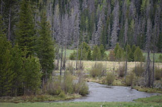 Filename=DSC_6204.JPG
Filesize=20549KiB
Dimensions=7360x4912
Date added=Sep 19, 2019 DSC_6204.JPG