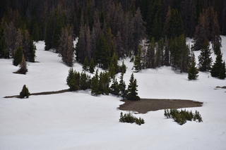 Filename=DSC_6222.JPG
Filesize=16917KiB
Dimensions=7360x4912
Date added=Sep 19, 2019 DSC_6222.JPG