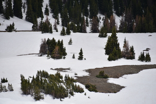 Filename=DSC_6223.JPG
Filesize=18097KiB
Dimensions=7360x4912
Date added=Sep 19, 2019 DSC_6223.JPG