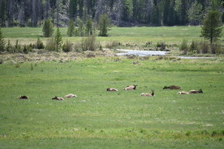 Filename=DSC_6251.JPG
Filesize=20714KiB
Dimensions=7360x4912
Date added=Sep 19, 2019 DSC_6251.JPG