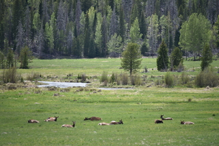 Filename=DSC_6253.JPG
Filesize=20879KiB
Dimensions=7360x4912
Date added=Sep 19, 2019 DSC_6253.JPG