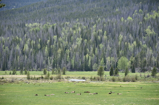 Filename=DSC_6254.JPG
Filesize=23496KiB
Dimensions=7360x4912
Date added=Sep 19, 2019 DSC_6254.JPG