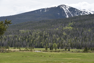 Filename=DSC_6255.JPG
Filesize=21858KiB
Dimensions=7360x4912
Date added=Sep 19, 2019 DSC_6255.JPG