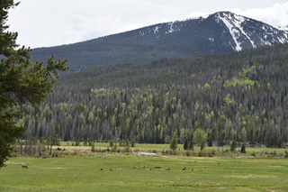 Filename=DSC_6256.JPG
Filesize=22599KiB
Dimensions=7360x4912
Date added=Sep 19, 2019 DSC_6256.JPG